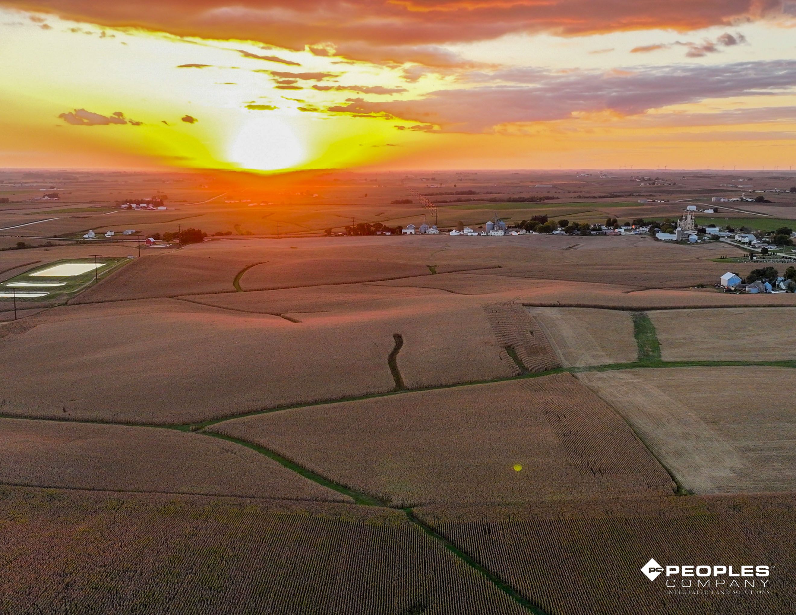 Listing Photo: Web 2